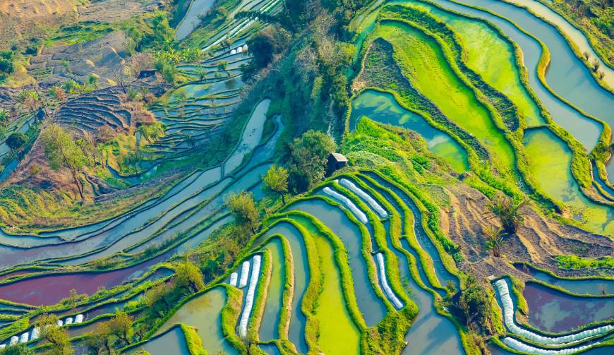 浦口区广告片拍摄公司数字技术驱动的广告革命